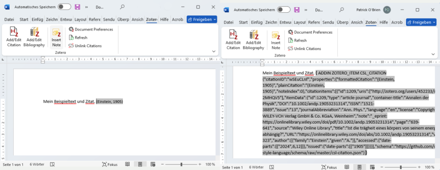Word Zotero Feldcodes